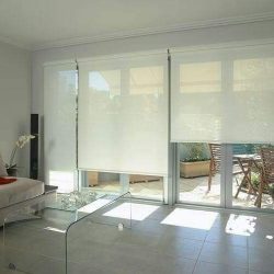 screen (2)